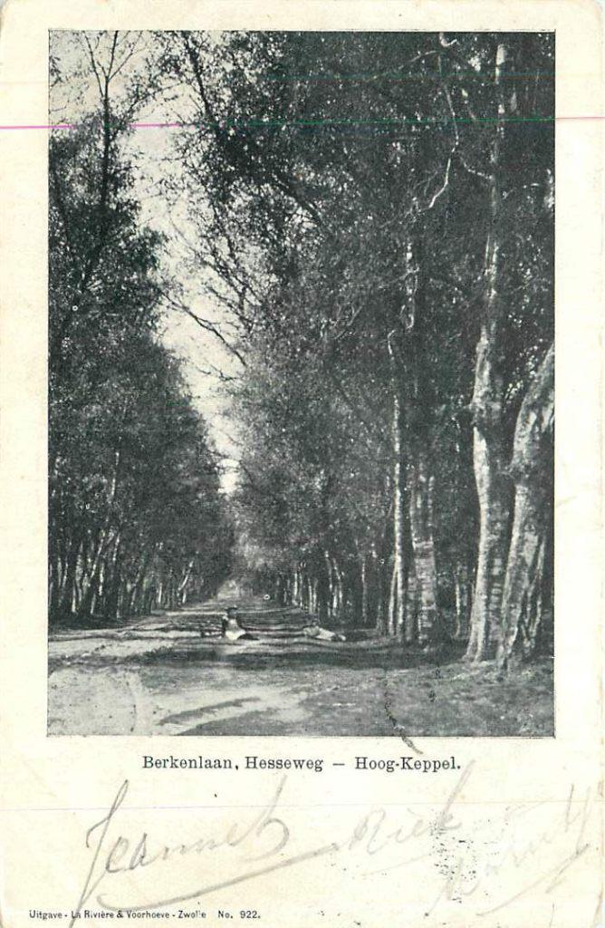 381-454-029 Hoog-Keppel Berkenlaan Hesseweg, Verzenden, Voor 1920, Gelderland