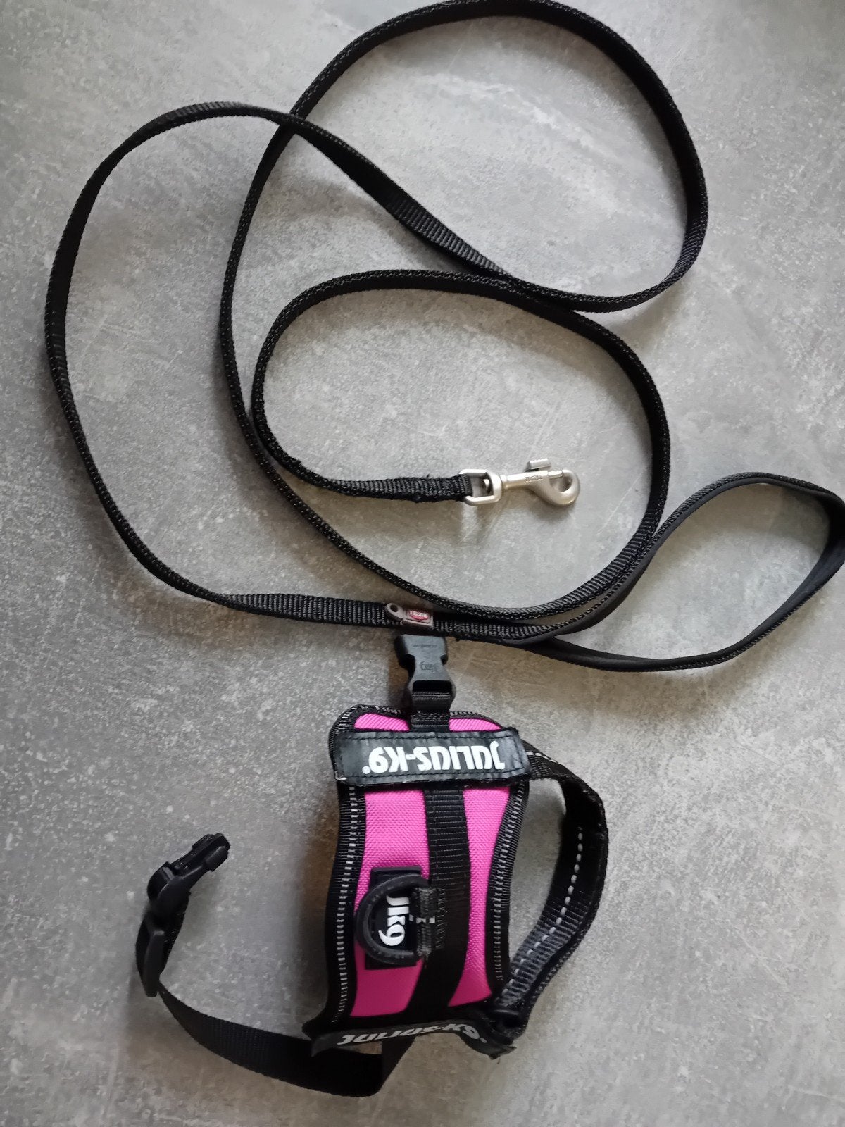 Puppy/baby tuigje met uit laat riem., Ophalen, Zo goed als nieuw, Hondenriem-accessoire