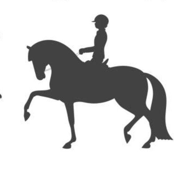 Leuk dressuur (bij) rijpaard gezocht/samwerking gezocht, Diensten en Vakmensen, Dieren | Paarden | Verzorging, Oppas en Les