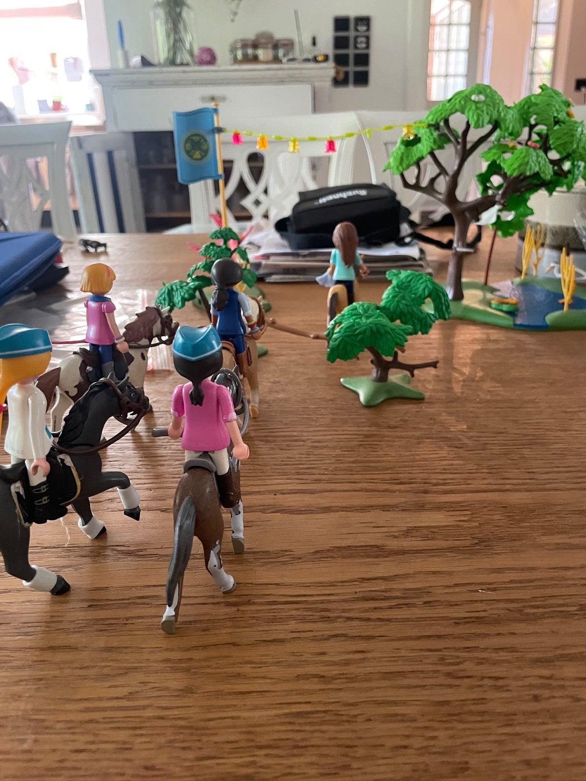 Playmobil Paarden en Ruiters Speelset riding free diverse, Ophalen of Verzenden, Gebruikt, Jongen of Meisje