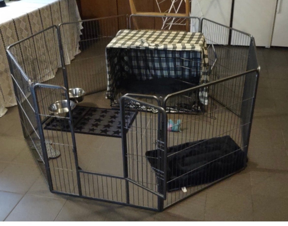 Honden bench en ren voor puppy, Ophalen