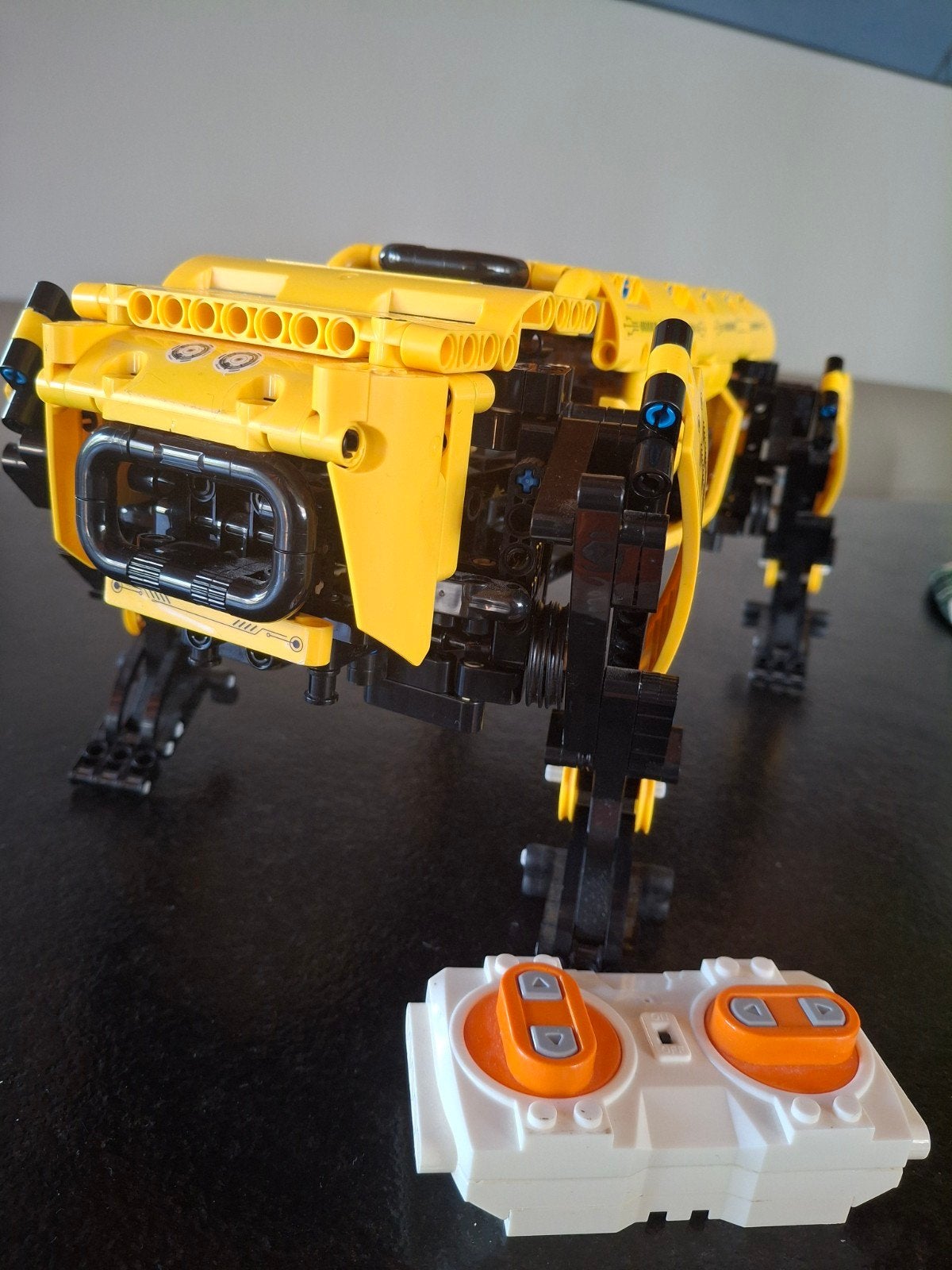 Robot dog