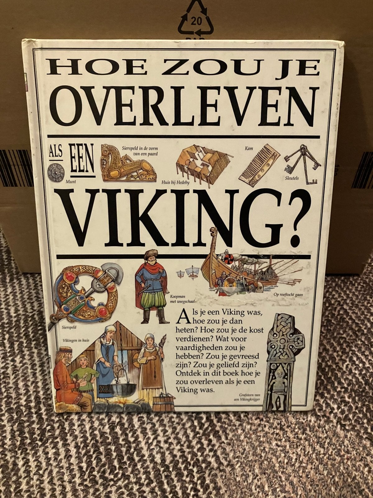 Hoe zou je overleven als een Viking? - Historisch boek, Ophalen of Verzenden, 20e eeuw of later, Zo goed als nieuw