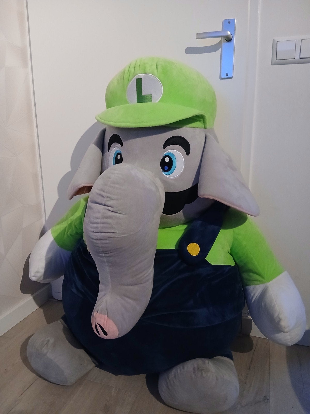 Luigi knuffel (Super Mario Wonder) alleen ophalen!, Ophalen