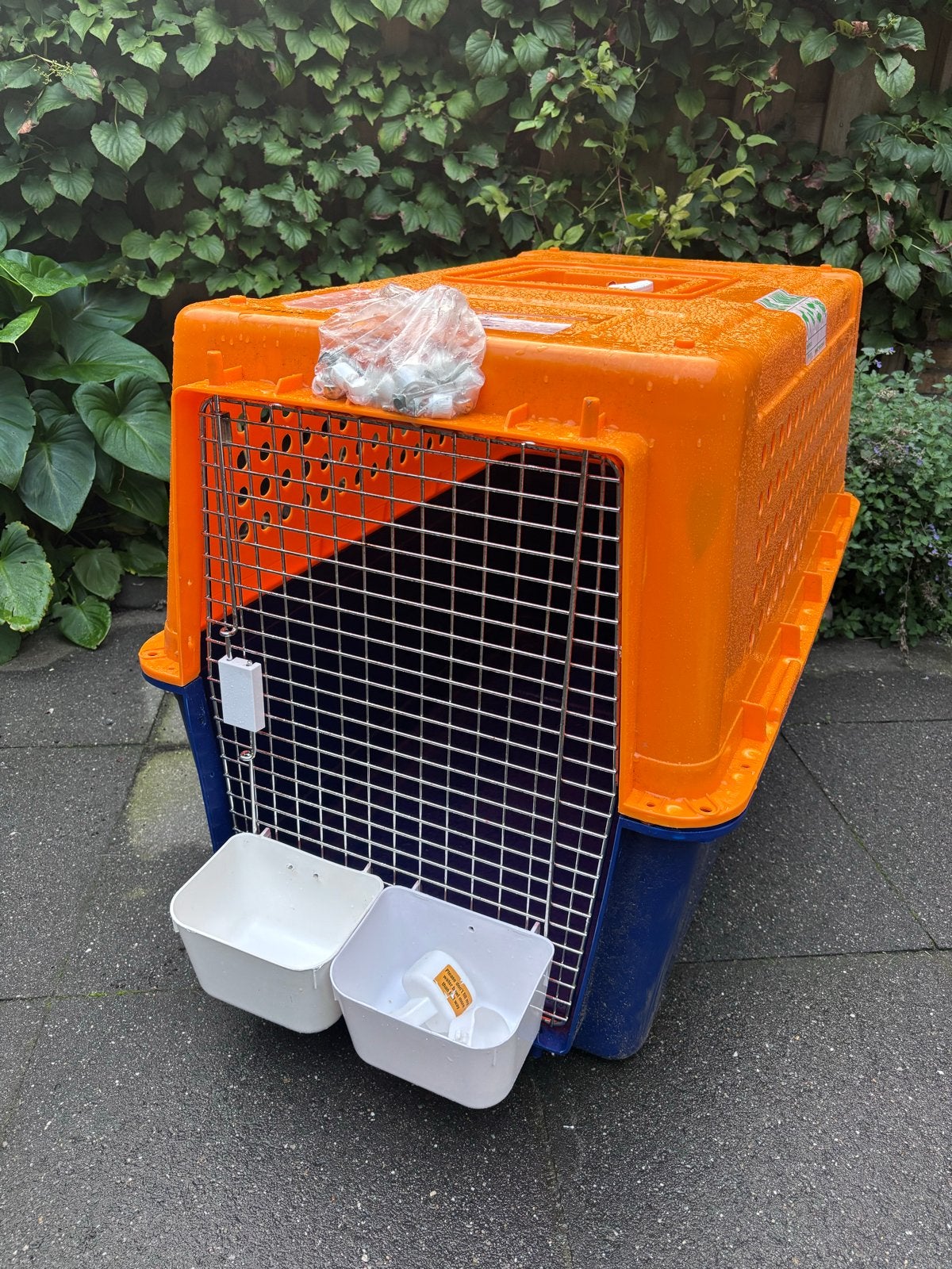 Grote transport box voor hond of meerdere katten, Ophalen, Zo goed als nieuw
