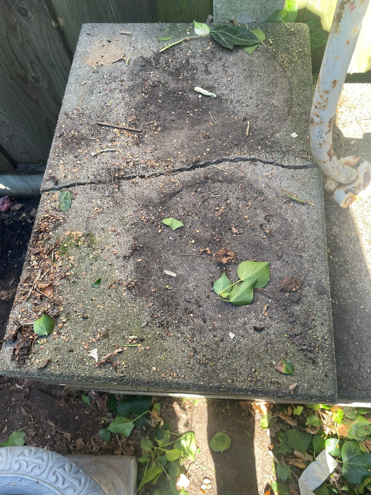 26 gebruikte betontegels 40x60 cm, Tuin en Terras, Ophalen, Gebruikt, 5 tot 10 m², Beton