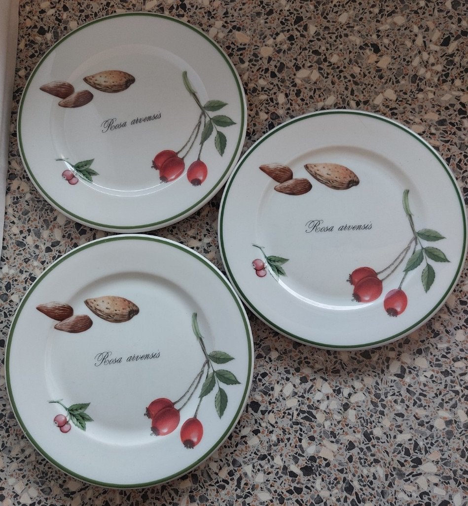3 schotels borden apilco Rosa Arvensis 16 cm, Overige merken, Ophalen of Verzenden, Zo goed als nieuw, Bord(en)