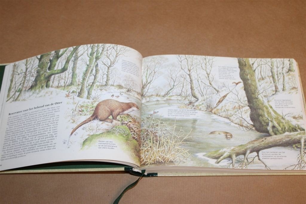 Zoogdieren van West- en Midden-Europa — Veldgids Natuur, Ophalen of Verzenden, Gelezen, Overige diersoorten