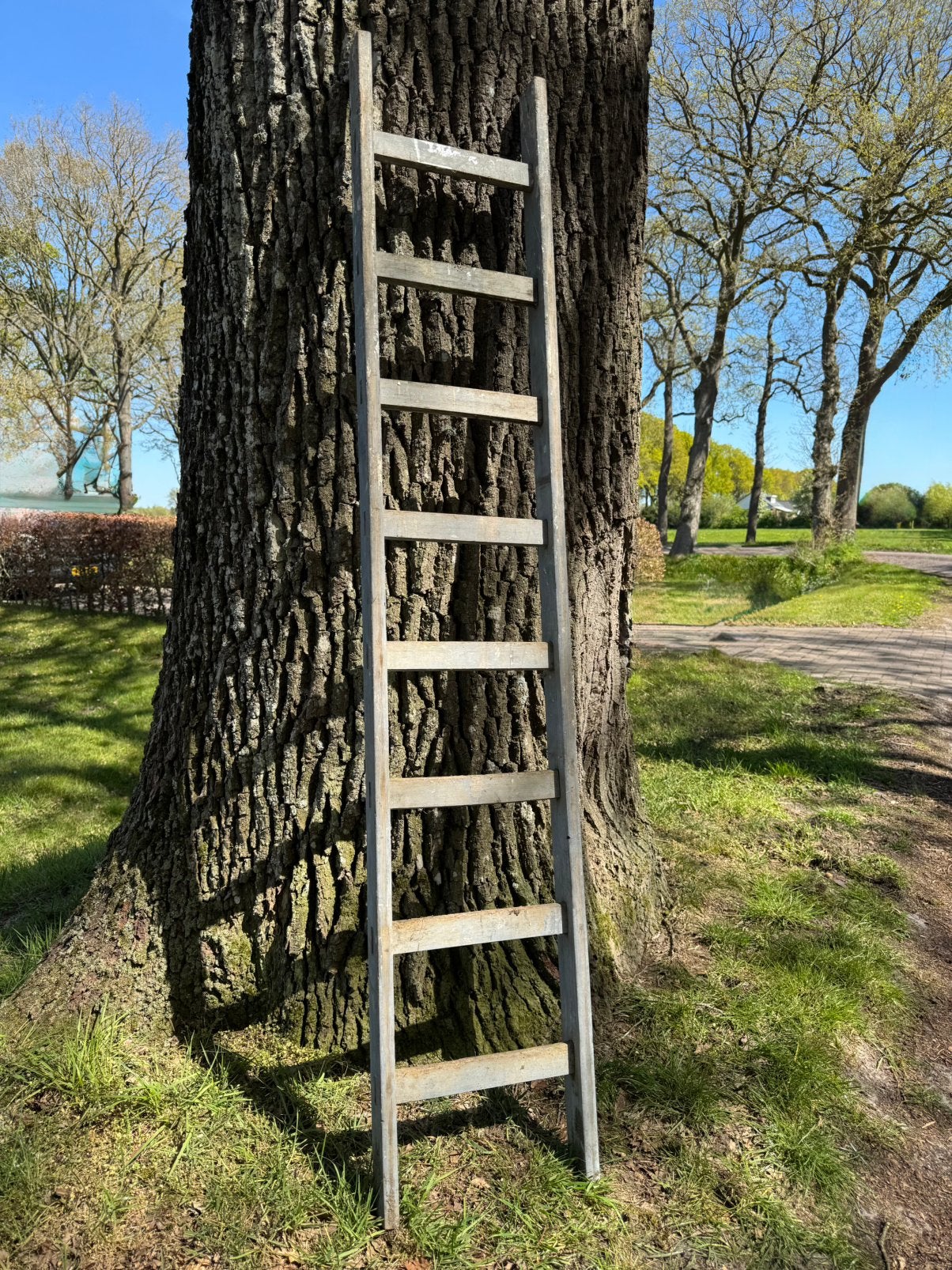 Ladder, decoratief, grijs, hout, stevig, tuin, 1.90 h, Ophalen