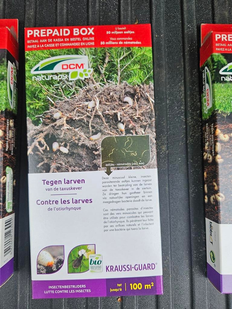 DCM Krausi-Guard Aaltjes tegen larven van  taxuskever  600m2, Ophalen of Verzenden, Nieuw