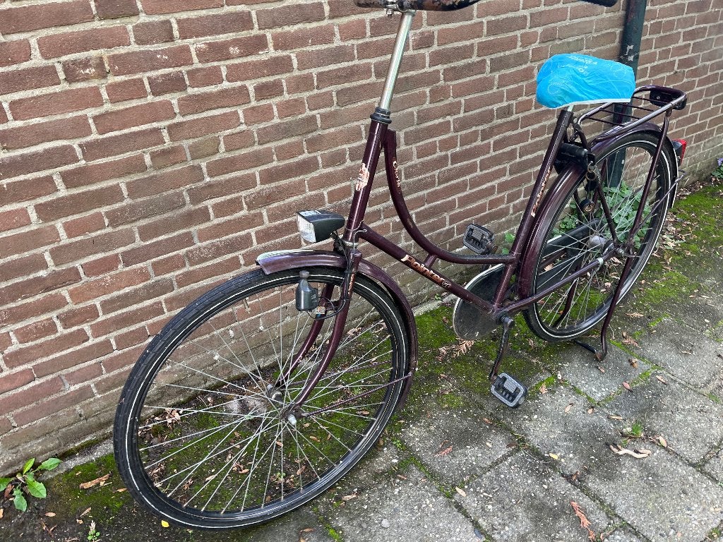 Pointer oma fiets, Ophalen, Terugtraprem, 56 cm of meer, Gebruikt