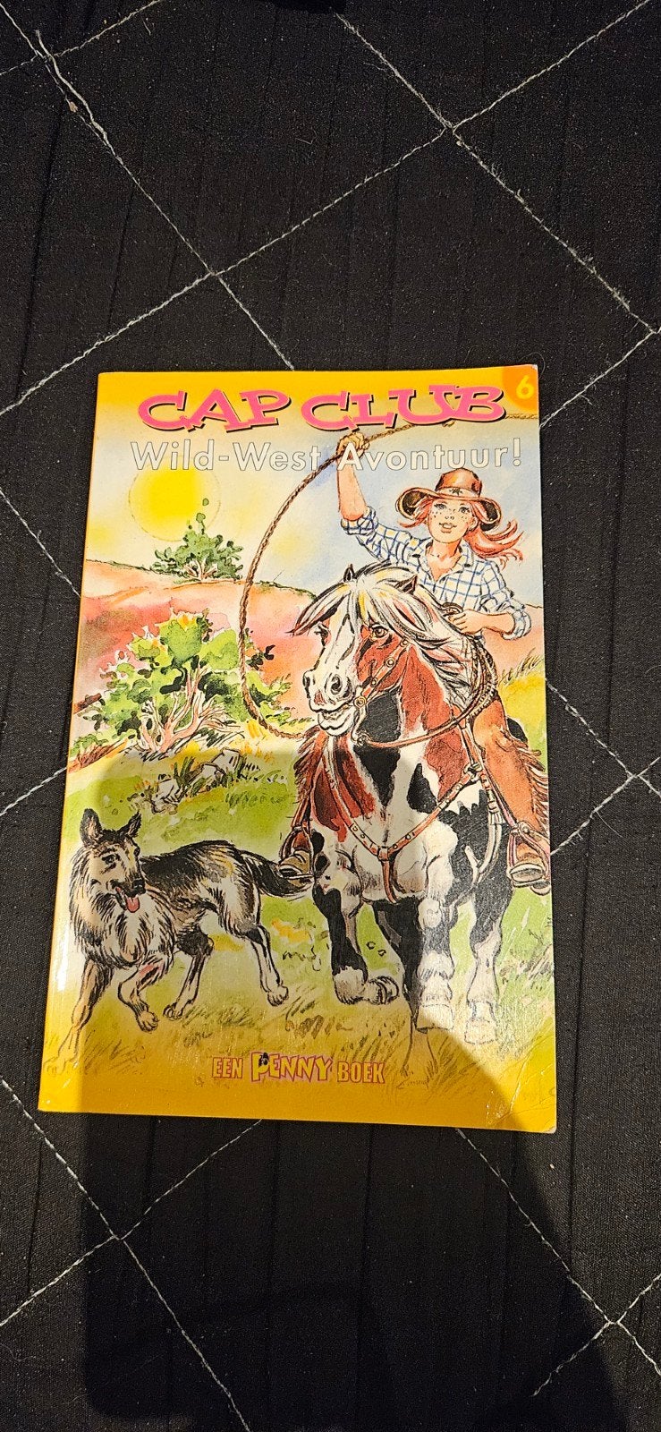 Cap Club Wild-West Avontuur! - Een Penny Boek, Ophalen of Verzenden, Gelezen, Onbekend