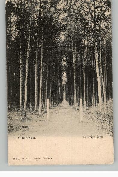 Ginneken Eeuwige Laan  1901  Foto A. van Erp, Ophalen of Verzenden, Voor 1920, Ongelopen, Noord-Brabant