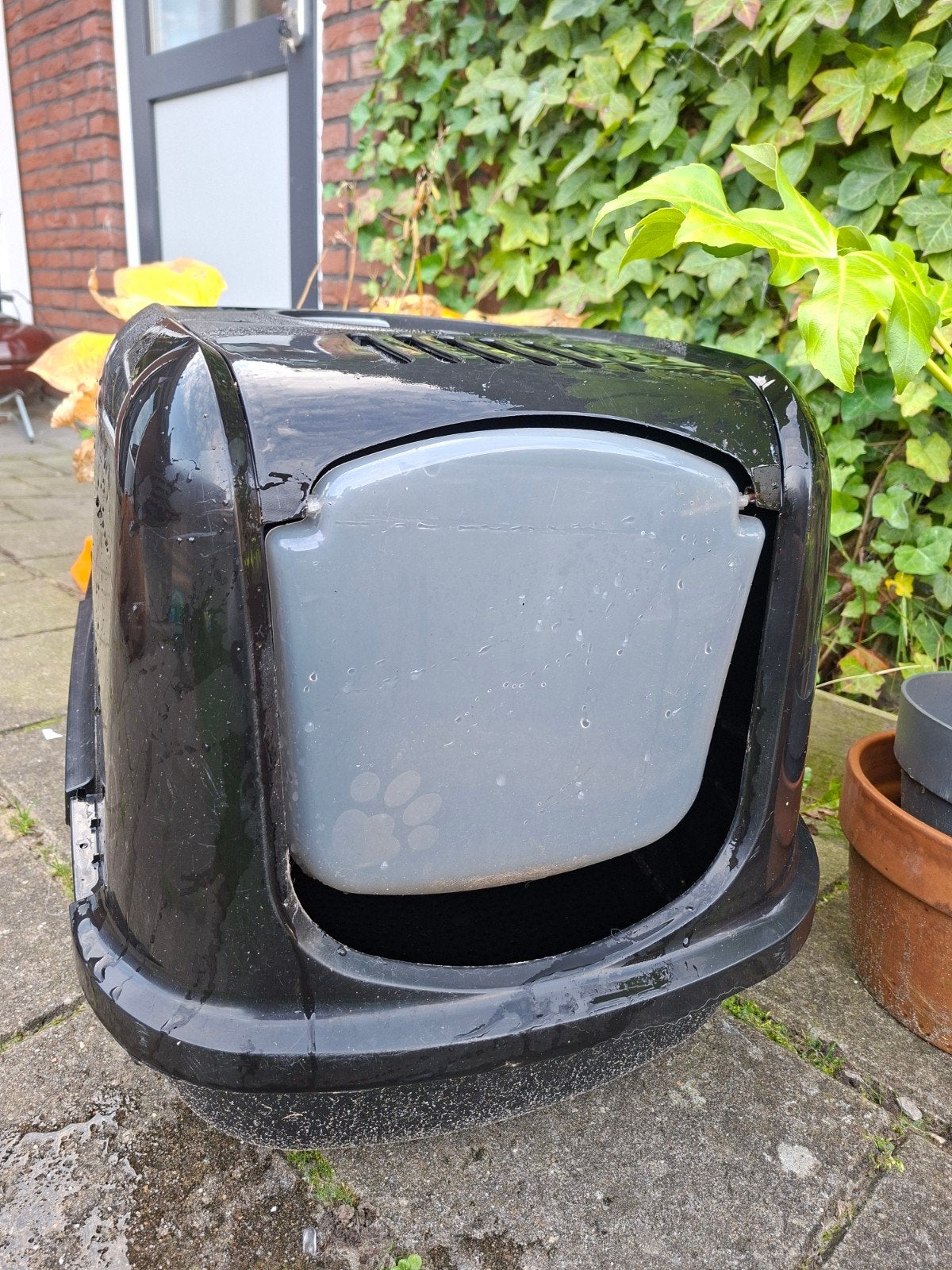 peewee xxl, Dieren en Toebehoren, Ophalen, Gebruikt, Gesloten