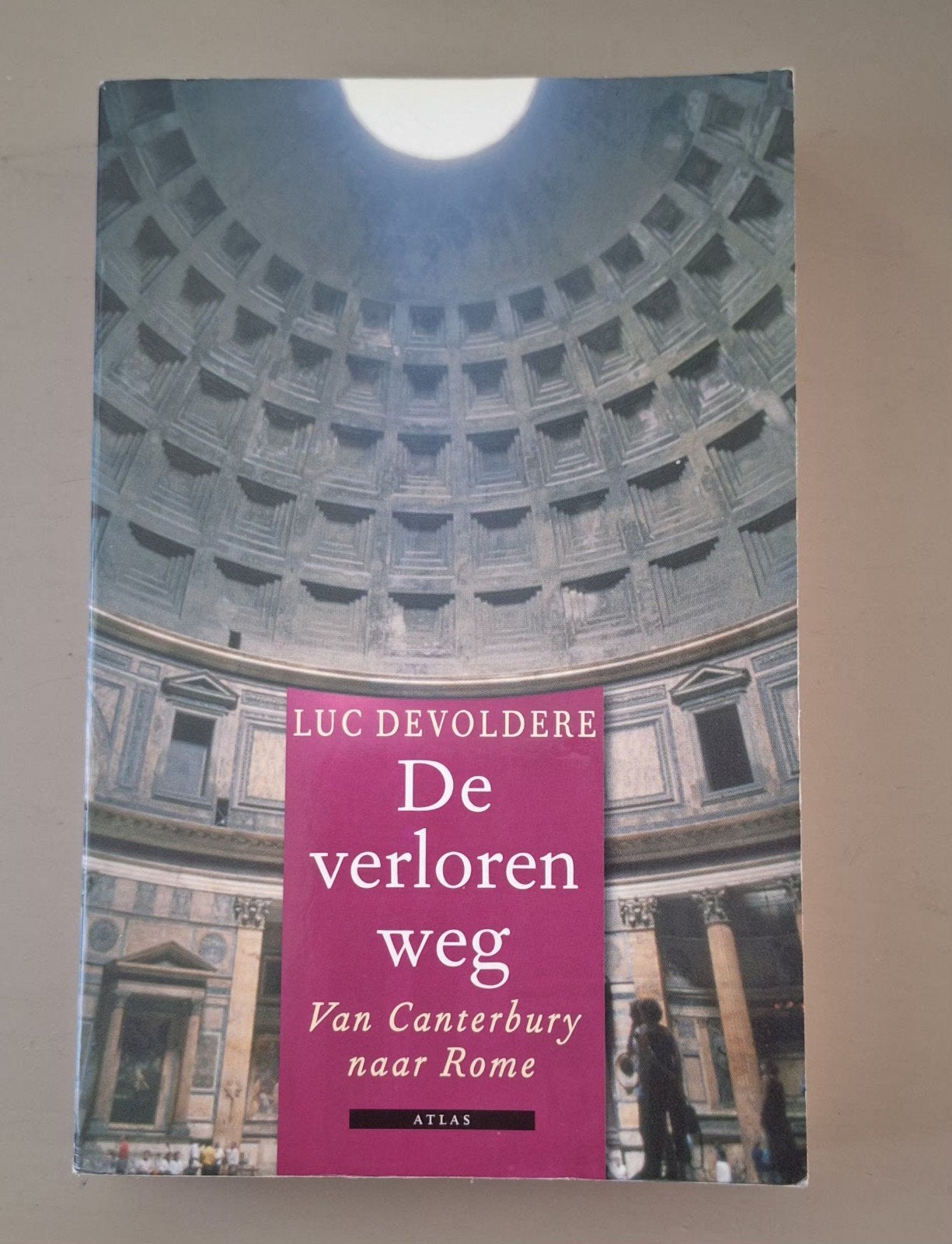Luc Devoldere - De verloren weg, Boeken, Ophalen of Verzenden, Zo goed als nieuw, Luc Devoldere, Europa