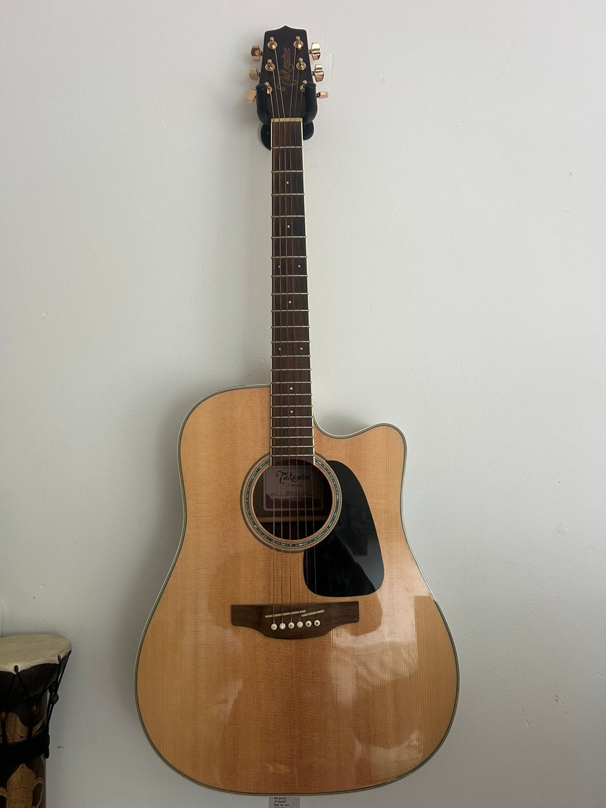Semi akoestische gitaar Takamine inclusief tas, Ophalen, Zo goed als nieuw, Western- of Steelstringgitaar