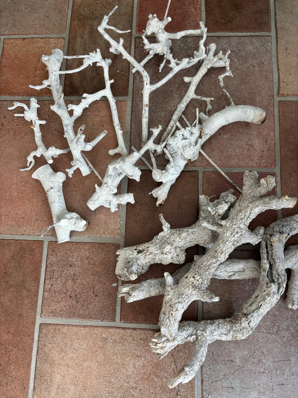 Decoratieve takken wit, Hout, Gebruikt, Ophalen of Verzenden, Landelijk