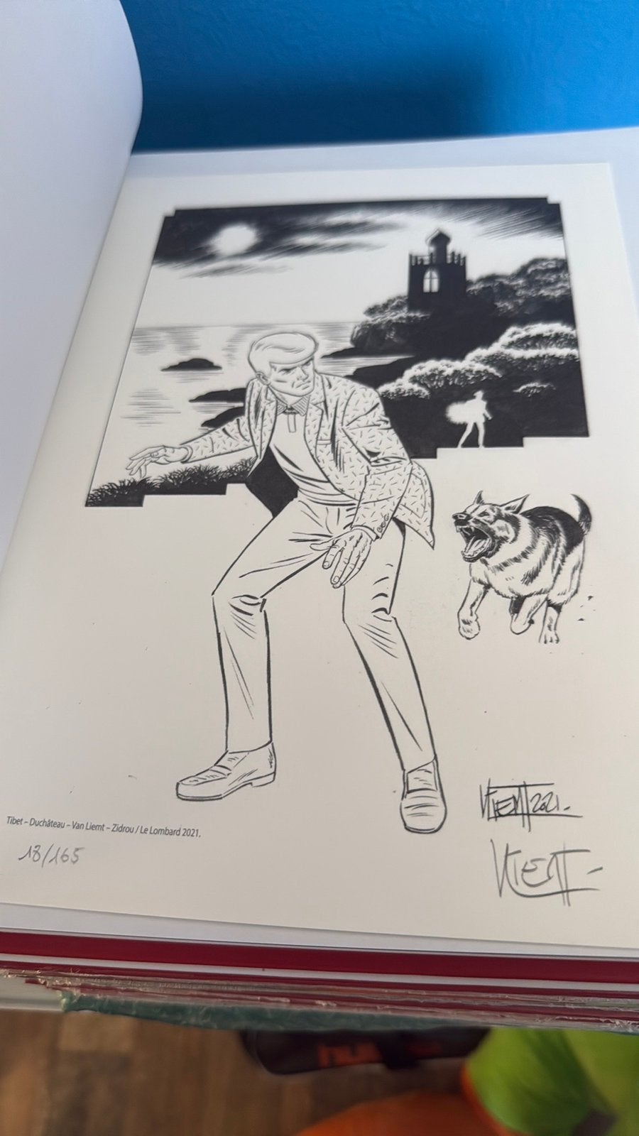 Rik Ringer luxe integrale uitgave, Meerdere stripboeken, Ophalen of Verzenden, Nieuw