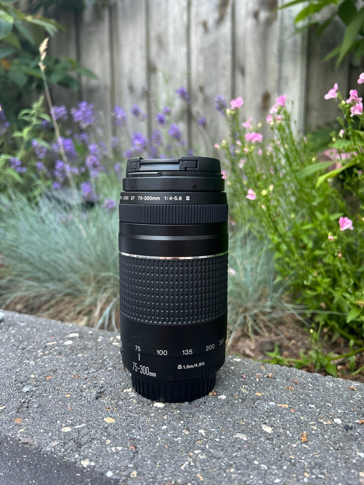 Canon EF 75-300mm f/4-5.6 III - Nieuwstaat, Audio, Tv en Foto, Fotografie | Lenzen en Objectieven, Ophalen, Canon, Autofocus, Nieuw