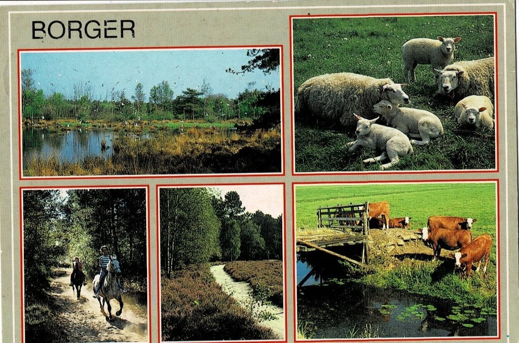 Borger, Ophalen of Verzenden, Gelopen, Drenthe