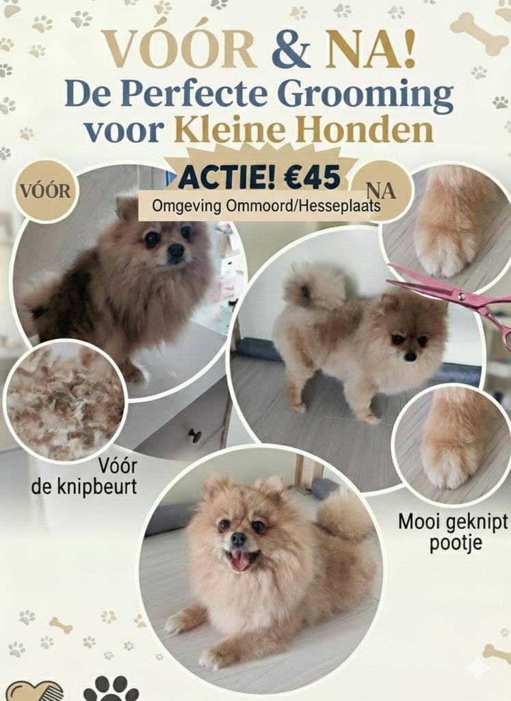 Honden trimmen, Ophalen of Verzenden, Zo goed als nieuw, Honden