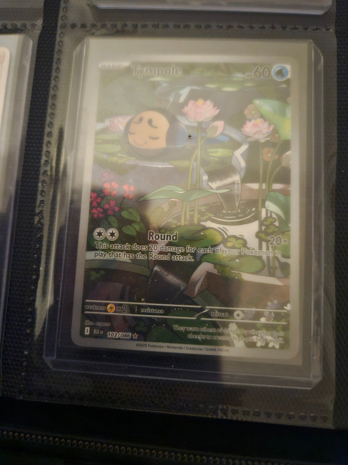Pokemon Tympole 103/086 Black Bolt, Ophalen of Verzenden, Zo goed als nieuw, Losse kaart, Foil
