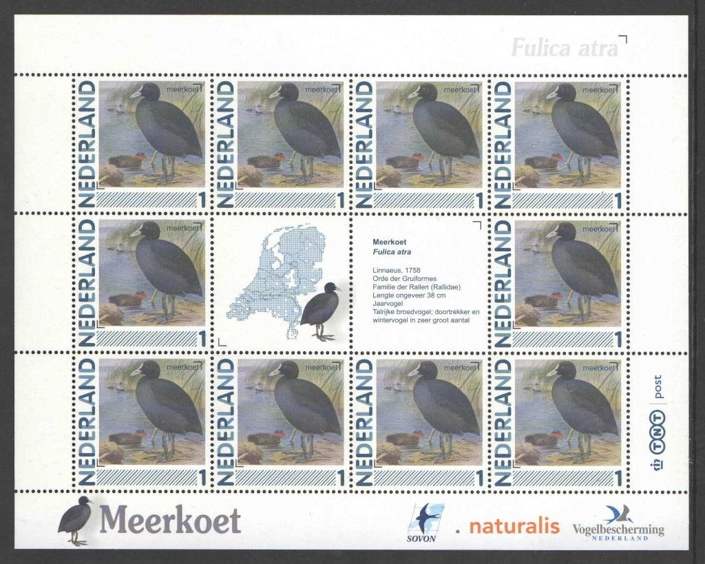Postzegels Vogels in Nederland: Meerkoet, Ophalen of Verzenden, Na 1940, Postfris