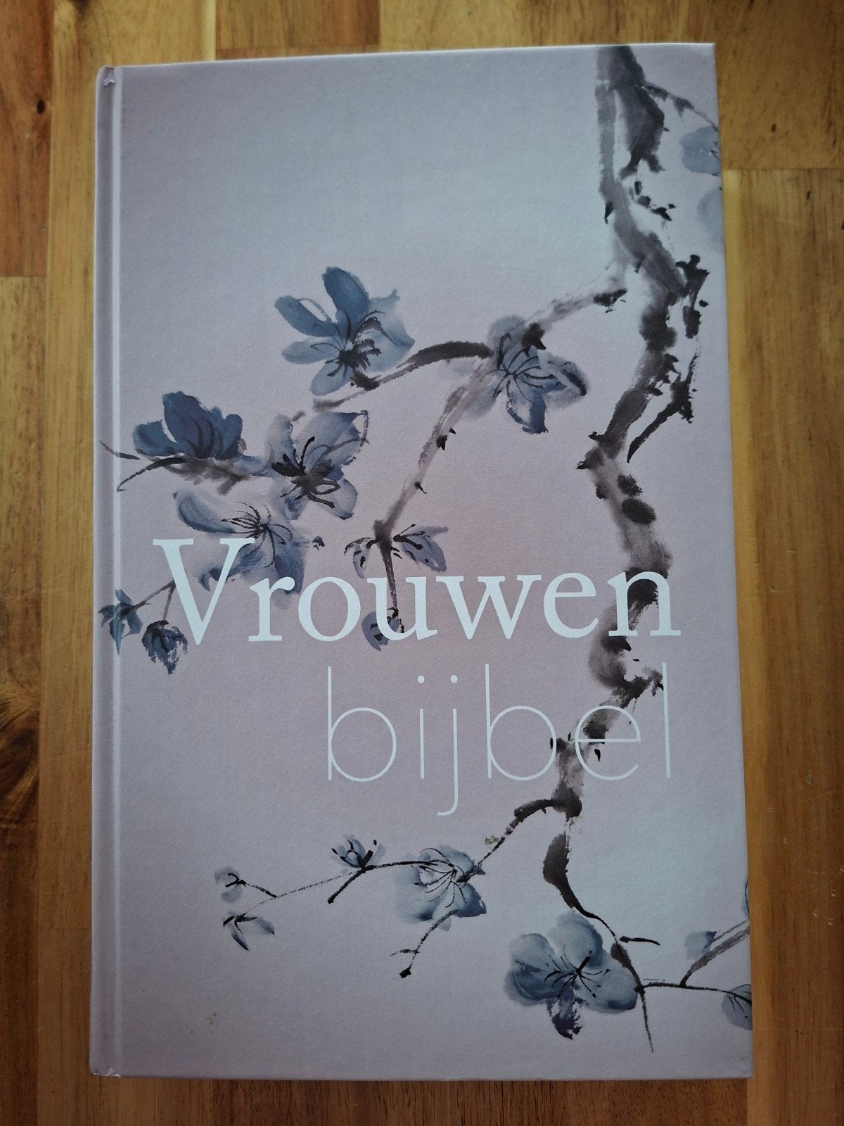 Vrouwenbijbel 1 ste druk. Niet gelezen., Boeken, Godsdienst en Theologie, Ophalen of Verzenden, Zo goed als nieuw