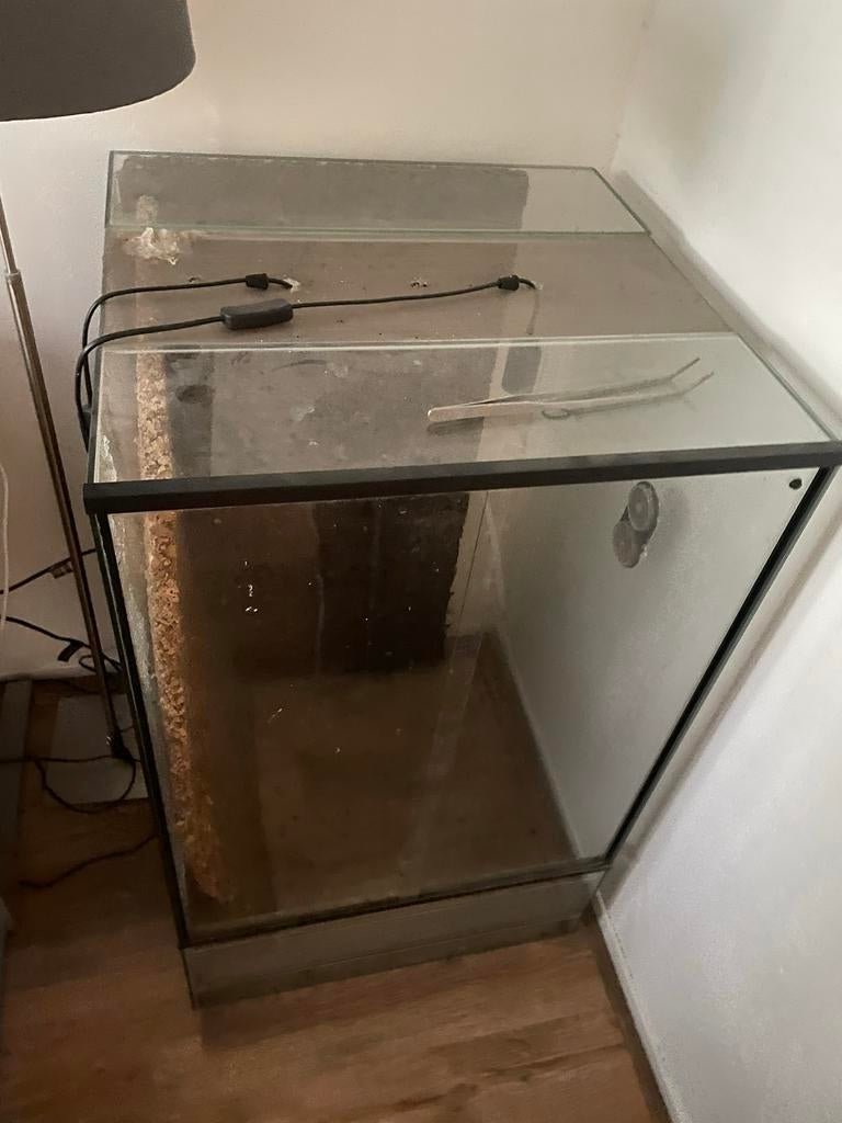 Terrarium 60x60x100, Dieren en Toebehoren, Ophalen, Gebruikt, Terrarium of Paludarium