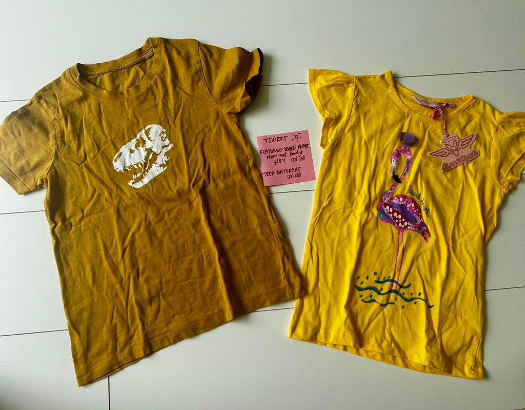 Gele t-shirts flamingo  en trex  Naturalis maat 122/128, Ophalen of Verzenden, Zo goed als nieuw, Meisje, Shirt of Longsleeve
