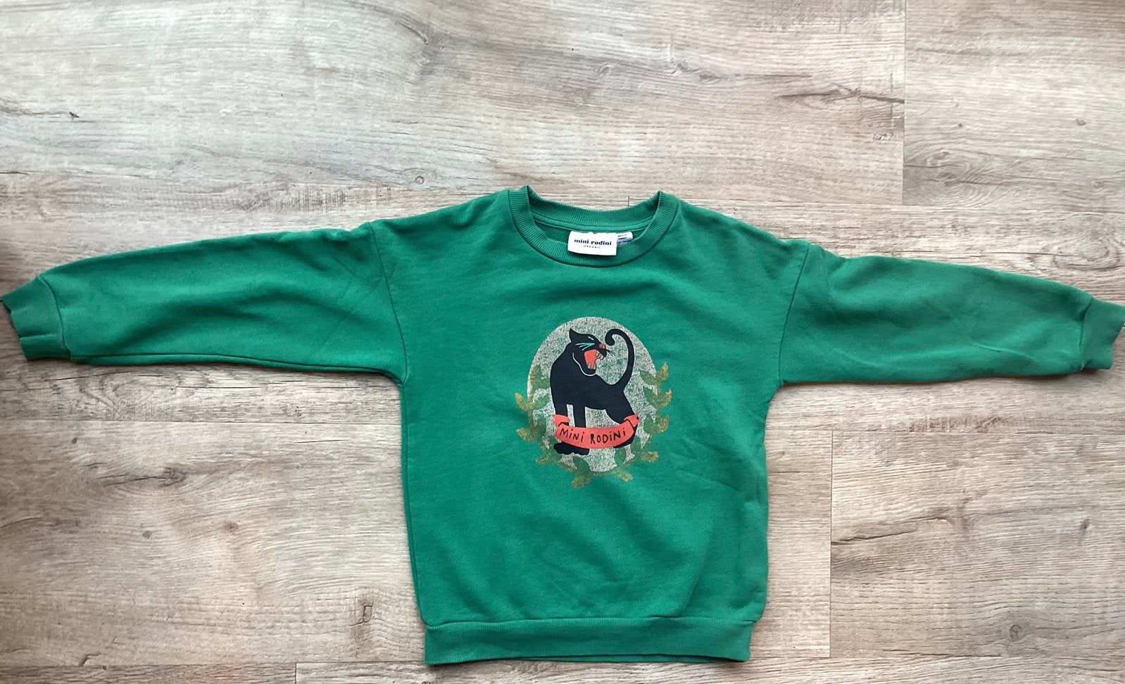 Mini Rodini sweater (116/122), Ophalen of Verzenden, Gebruikt, Jongen of Meisje, Trui of Vest