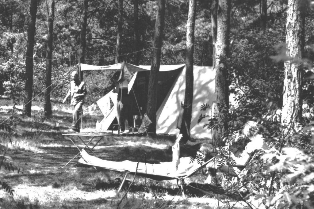 983708 Deurne Vlierden 1966 De Bikkels Gelopen met postzegel, Ophalen of Verzenden, 1960 tot 1980, Gelopen, Noord-Brabant