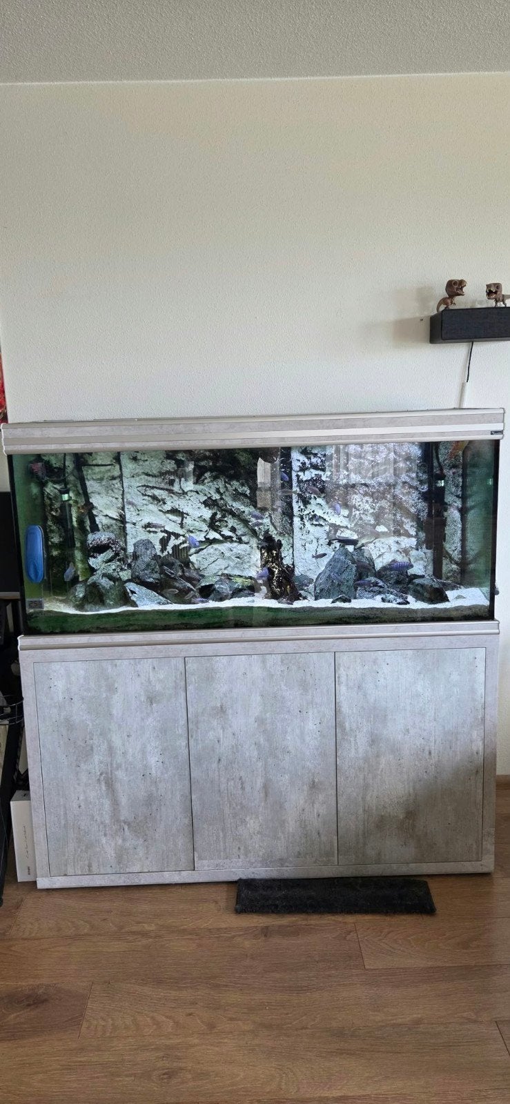 1.50m x50x60 450l aquarium incl kast verlichting en pompen., Ophalen, Gebruikt, Inclusief vissen, Aquatlantis