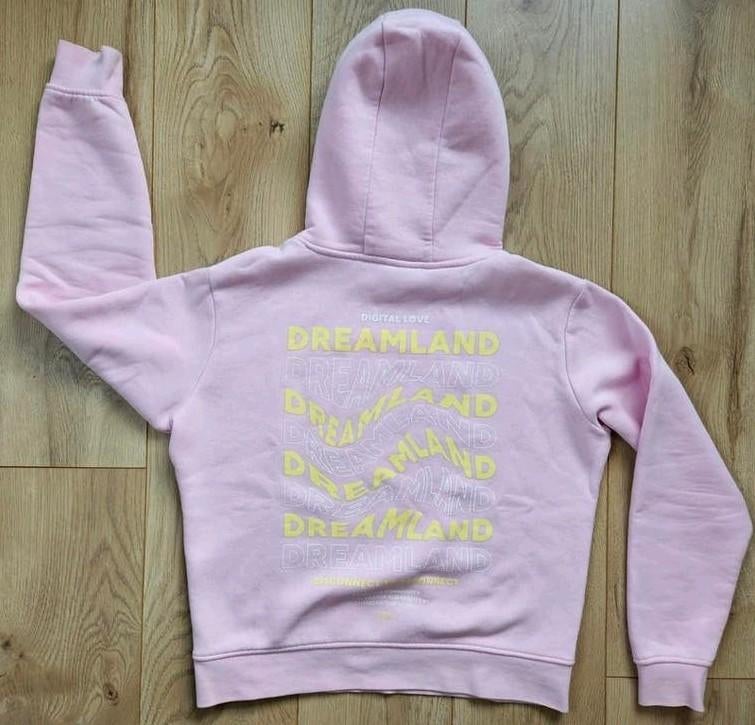 The Sting Amy &Ivy hoodie Sweater Trui maat S roze, Ophalen of Verzenden, Roze, Maat 36 (S), Amy & Ivy