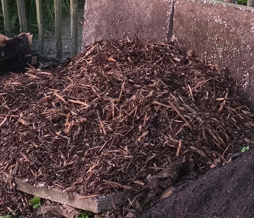 Gezocht: Snoeiafval, takken of snippers voor mulchen, Tuin en Terras, Haardhout, Takken, Minder dan 3 m³, Ophalen