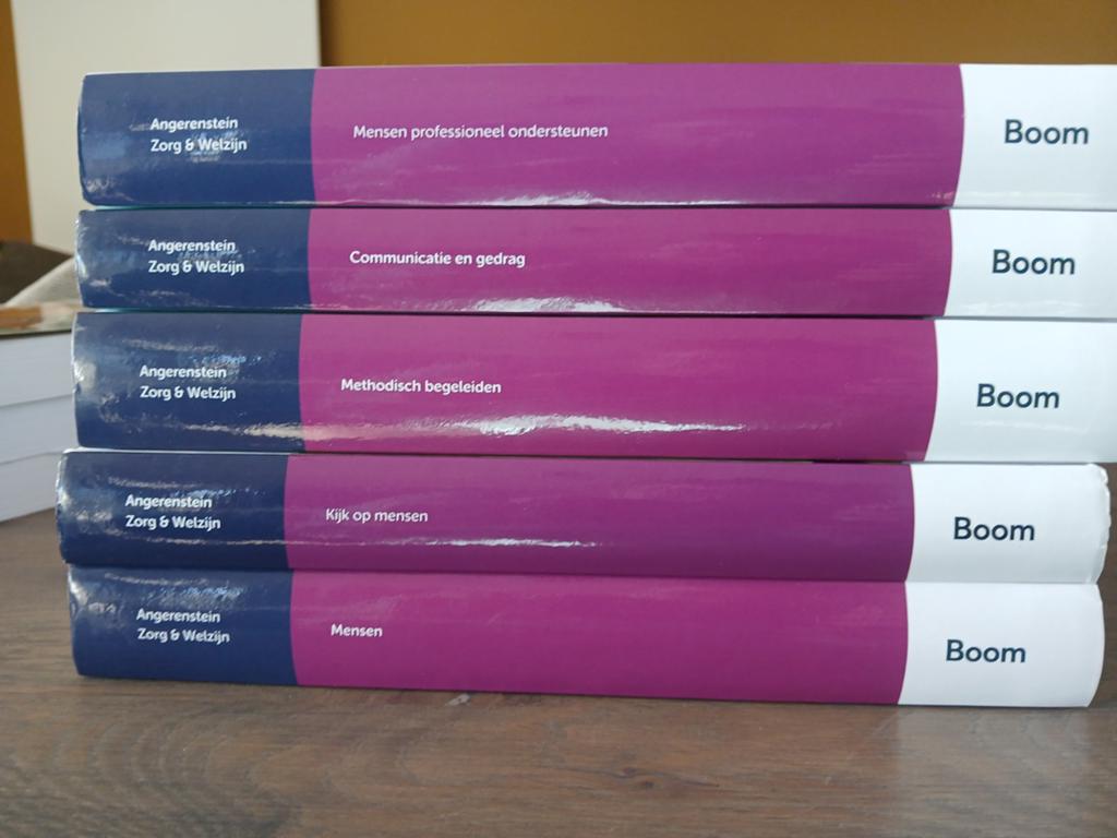 Boeken set Persoonlijk Begeleider Maatschappelijke Zorg, Ophalen of Verzenden, Zo goed als nieuw, MBO, Gamma