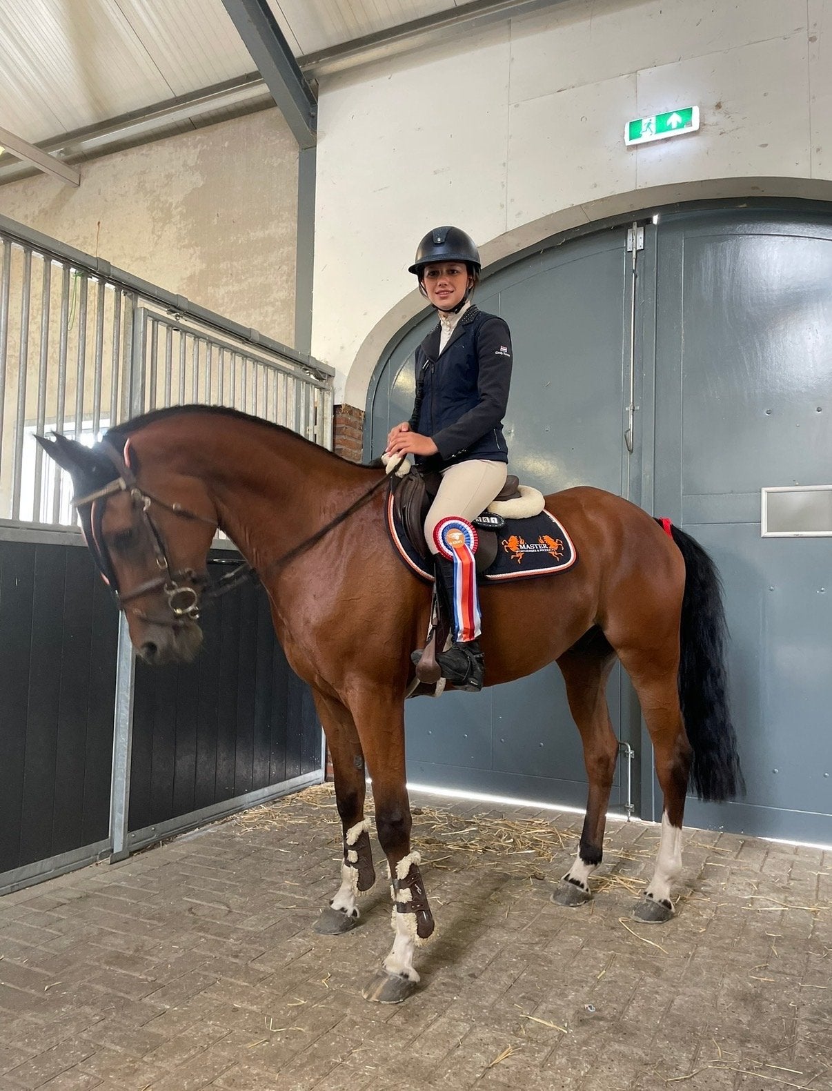 KAPRILI VAN ORCHID’S SPRINGPONY 10 jaar D pony 1.48 cm FEI, Dieren en Toebehoren, Pony's, ZZ, Met stamboom, Ruin, Springpony