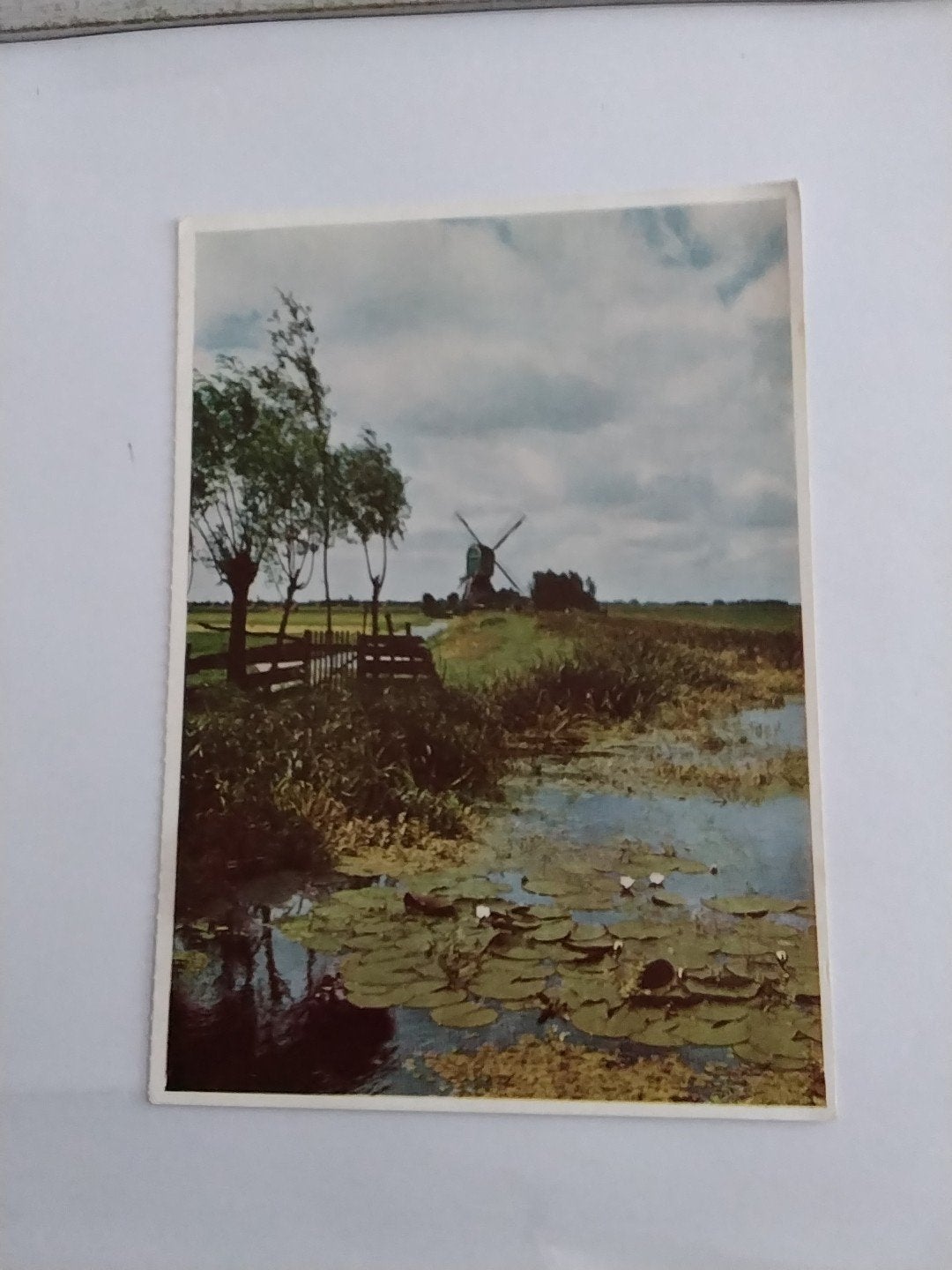 Oude KLM Ansichtkaart - De Hollandse Landschap, Verzamelen, Ophalen of Verzenden, 1940 tot 1960