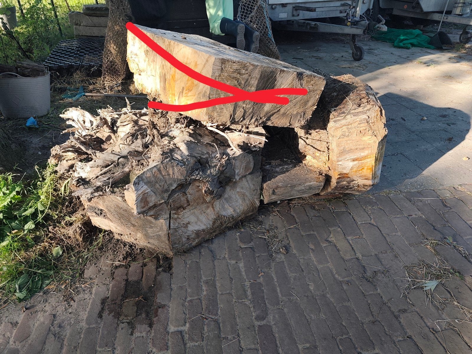 boomstronk  / hout, Ophalen of Verzenden