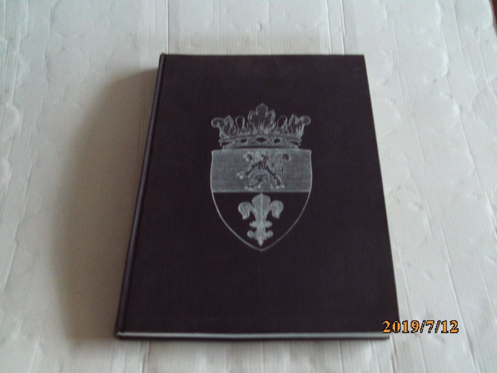 herinneringen aan oud roermond - stichting rura, Boeken, Geschiedenis | Stad en Regio, Ophalen of Verzenden, Gelezen