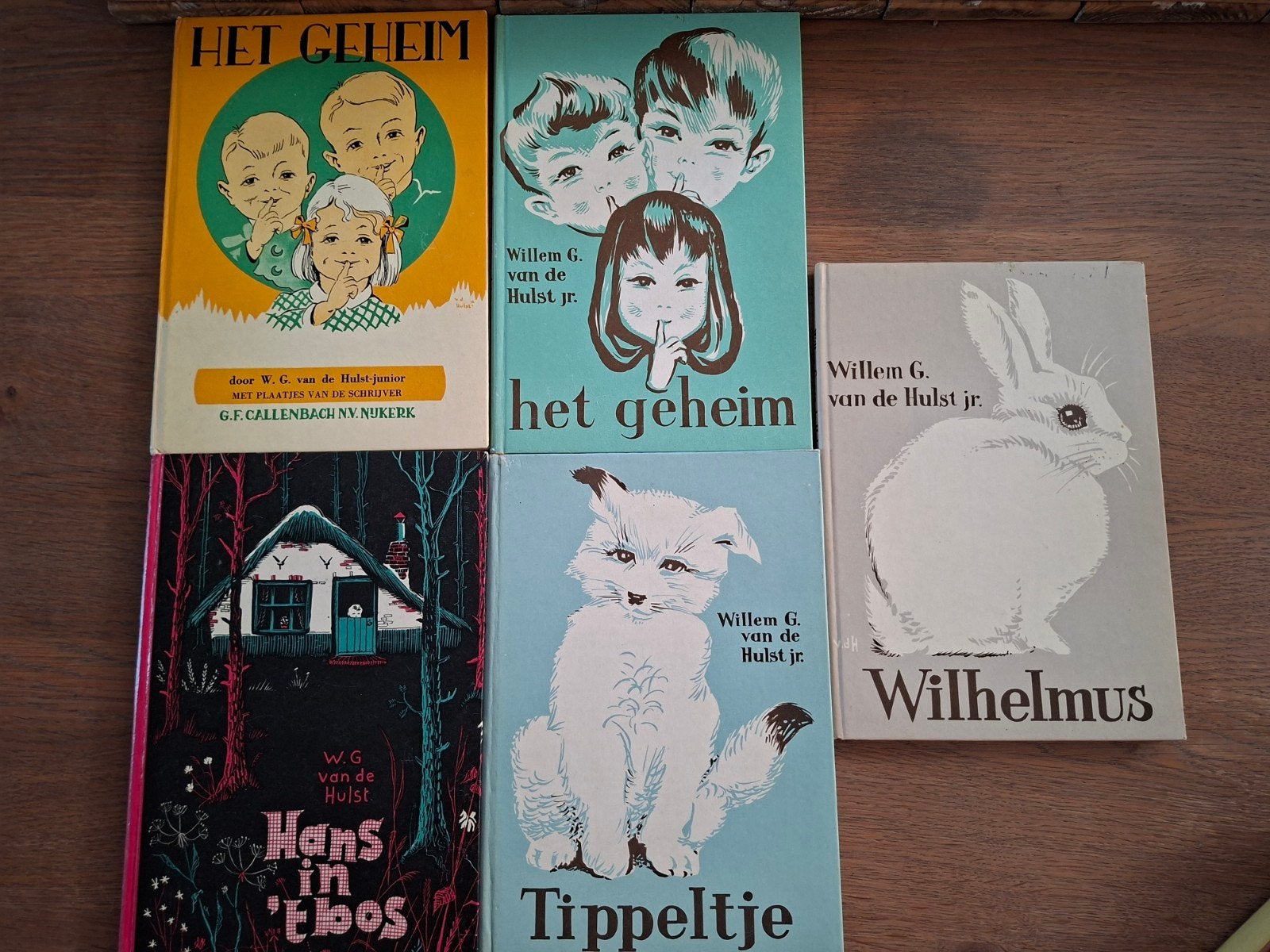W.G.van de Hulst Jr. Boeken - Het Geheim, Tippeltje, Wilhelm, Boeken, Ophalen of Verzenden, Gelezen, W.G. van de Hulst Jr., Fictie algemeen
