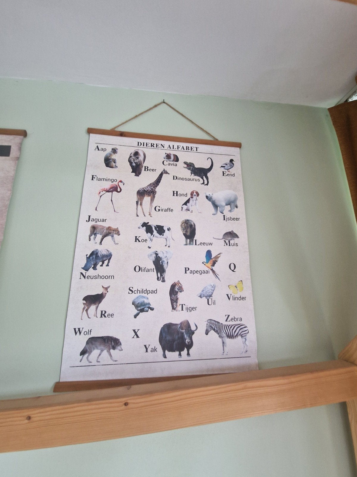 Dieren posters: Alfabet en The Big Five, Ophalen of Verzenden, Zo goed als nieuw, Minder dan 50 cm, Foto of Poster