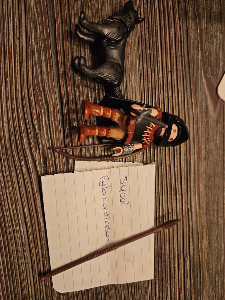 5408 playmobil krijger met wolf, Kinderen en Baby's, Speelgoed | Playmobil, Ophalen