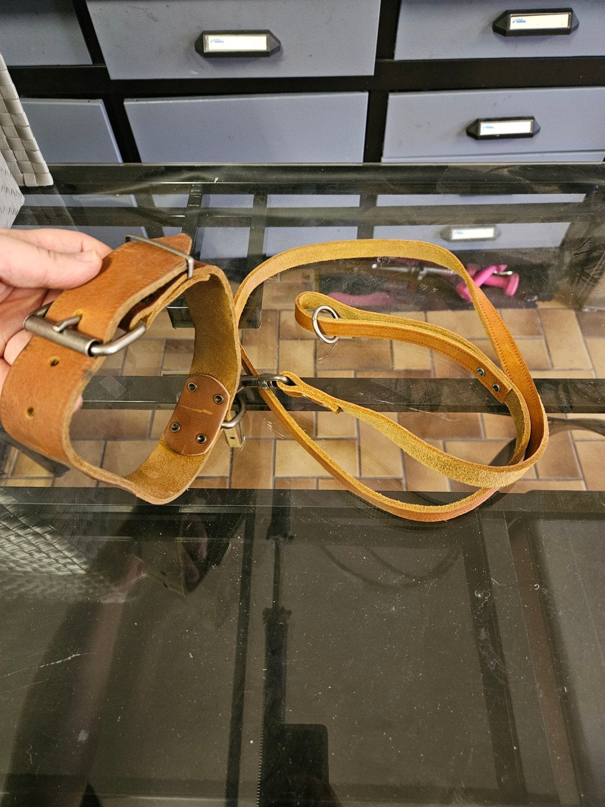 Honden halsbanden en riem, Dieren en Toebehoren, Ophalen