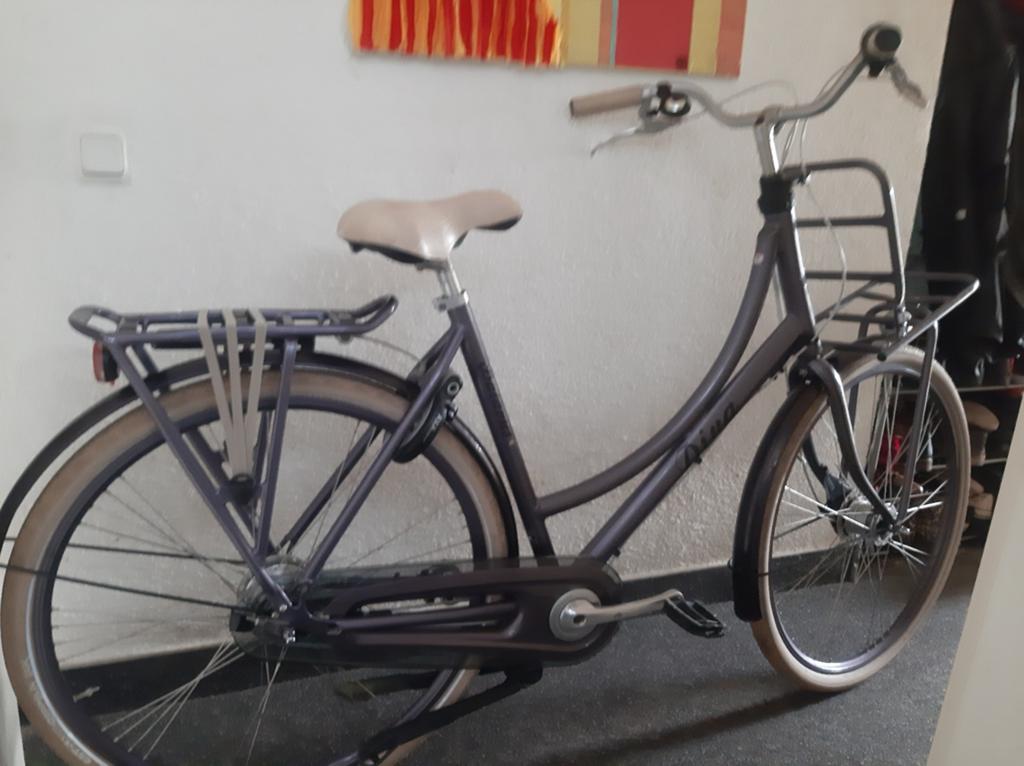 Batavus Diva Framemaat 53cm Shimano Nexus versnellingen, 53 tot 56 cm, Versnellingen, Batavus, Ophalen of Verzenden