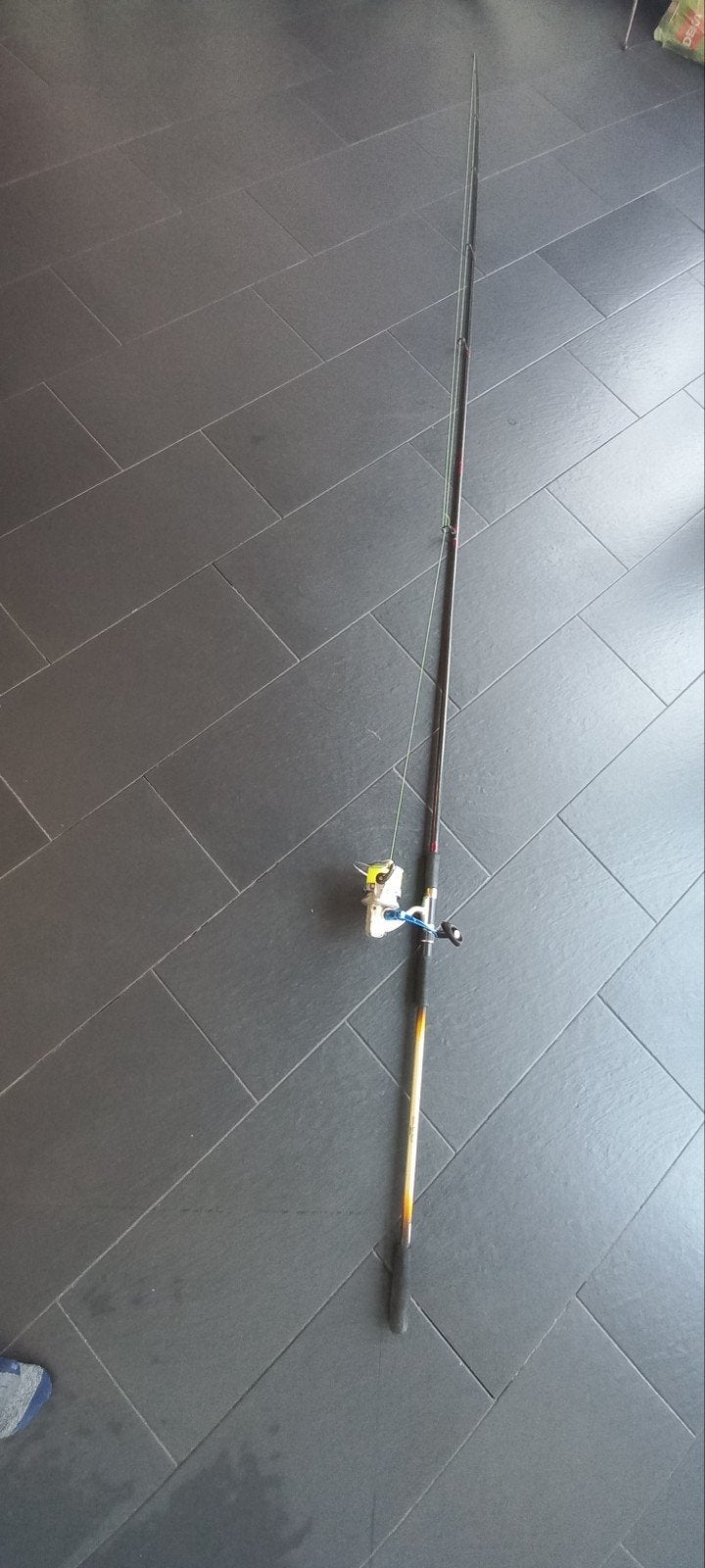 Albatros Hi-Tec Carbon Mega Carp Hengel met molen 2-delig, Ophalen, Zo goed als nieuw, Complete hengel