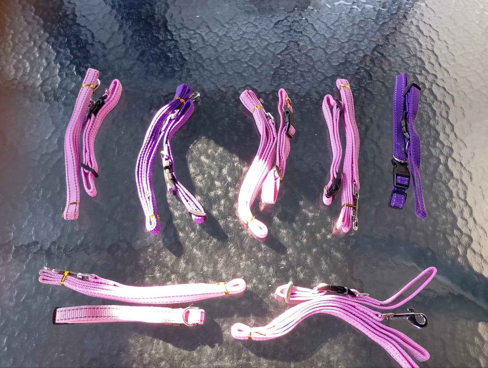 4 nieuwe setjes honden riemen met halsband 1 euro per stuk, Dieren en Toebehoren, Ophalen, Nieuw