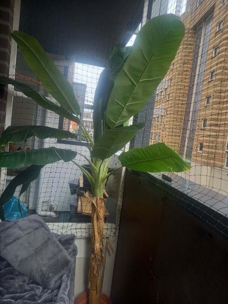 Grote Kunst Bananenplant - 180cm, 180 cm, Met pot of vaas, Kunstplant, Ophalen of Verzenden