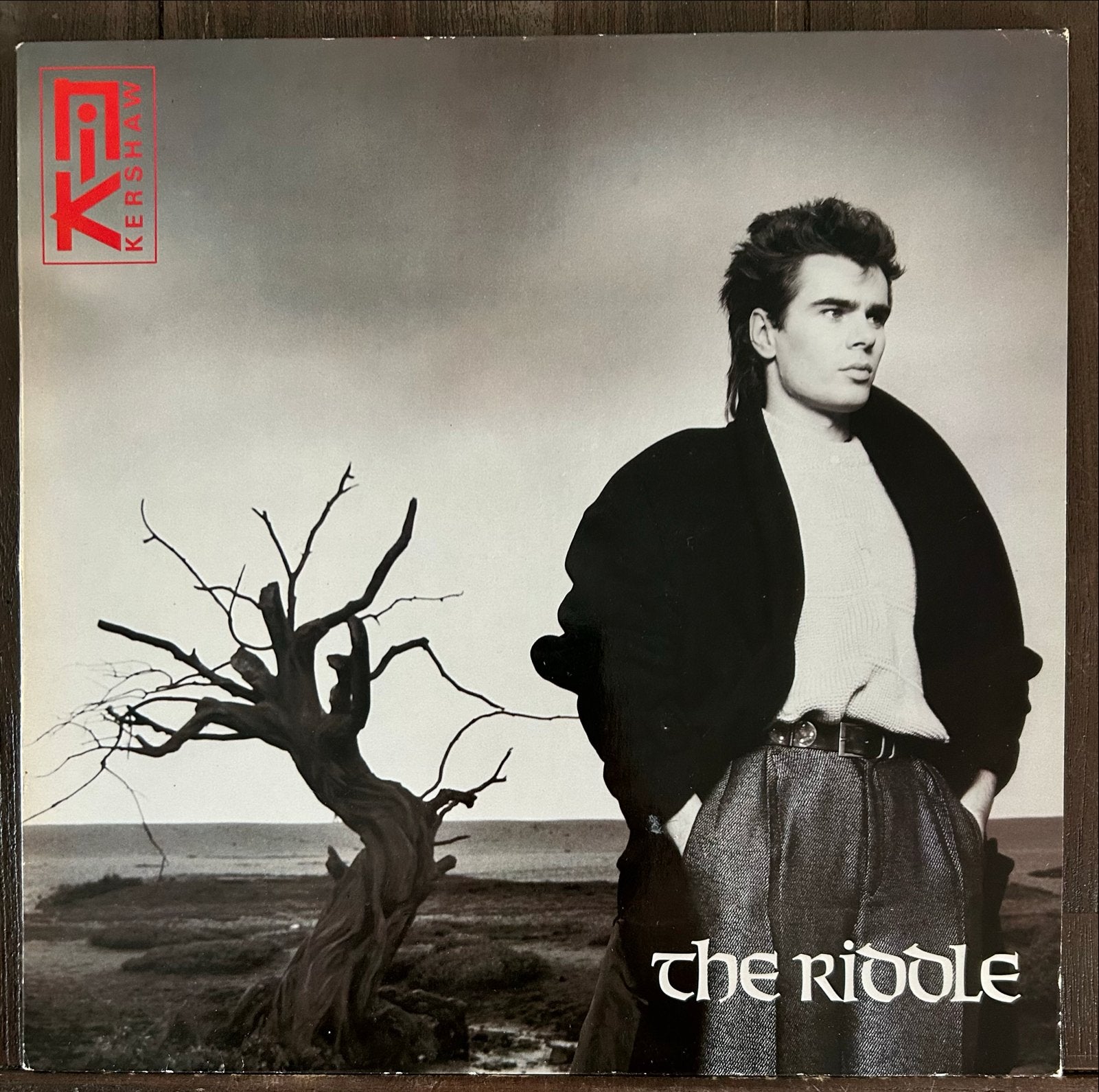 Nik Kershaw - The Riddle LP (1984), LP, Gebruikt, Pop, Originele persing