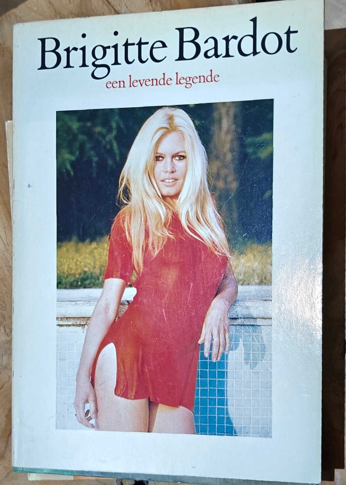Brigitte Bardot: Een Levende Legende (1984), Ophalen of Verzenden, Gelezen, Guus Luijters en Gerard Timmer, Film, Tv en Media